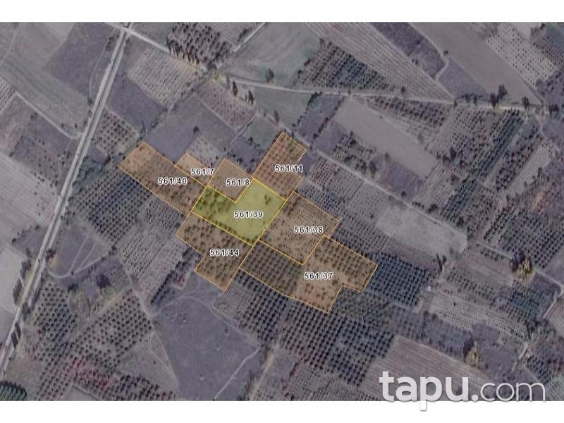 Isparta Senirkent'te 5 Adet 18.317 m2 Tarla