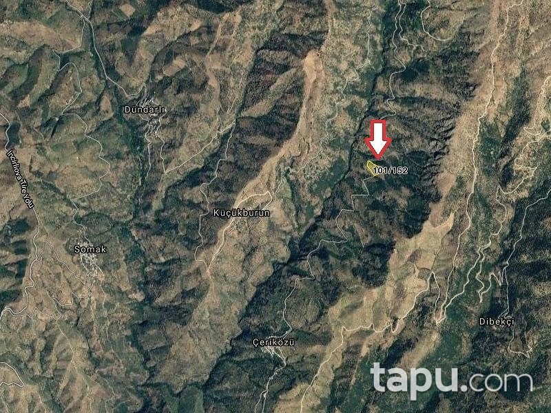 İzmir Tire Çeriközü'nde İncirlik 14.866 m2