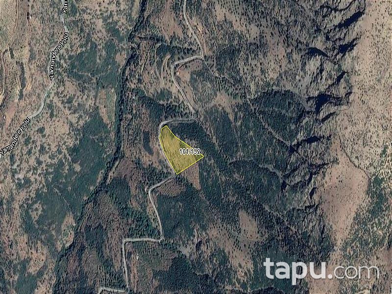 İzmir Tire Çeriközü'nde İncirlik 14.866 m2