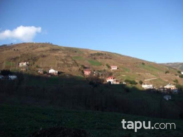 Trabzon Akçaabat'ta 2704m2 Tarla