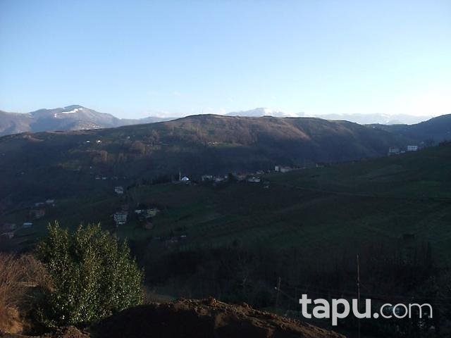 Trabzon Akçaabat'ta 2704m2 Tarla