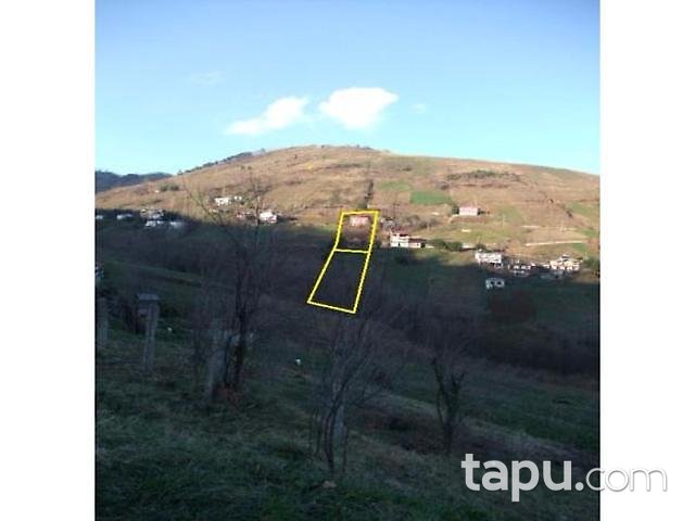 Trabzon Akçaabat'ta 2704m2 Tarla
