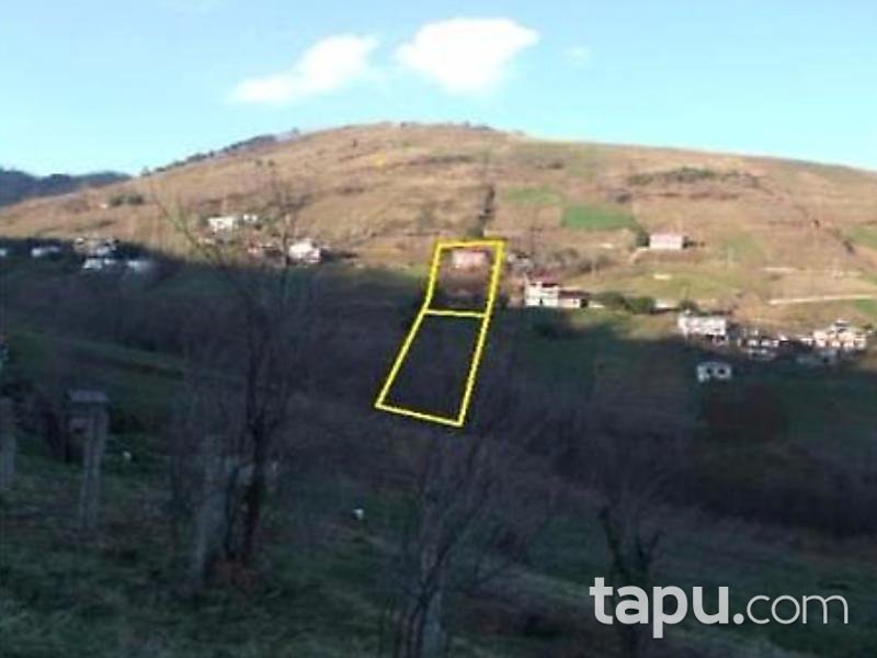 Trabzon Akçaabat'ta 2704m2 Tarla