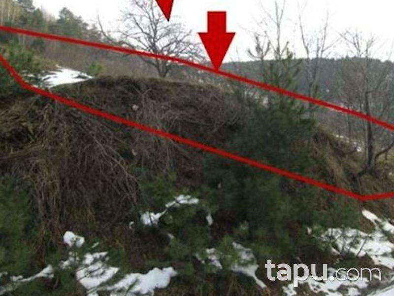 Sakarya Geyve'de 11661 m² Tarla