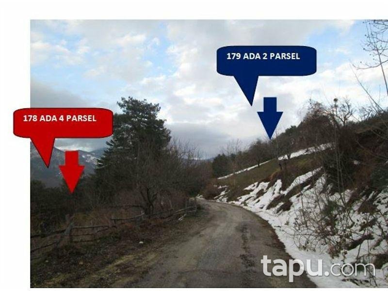 Sakarya Geyve'de 11661 m² Tarla