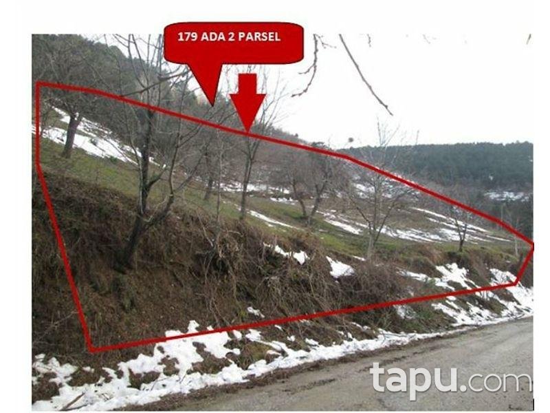 Sakarya Geyve'de 11661 m² Tarla