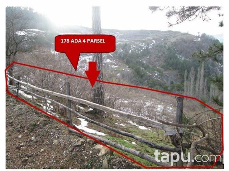 Sakarya Geyve'de 6478 m² Fındıklık