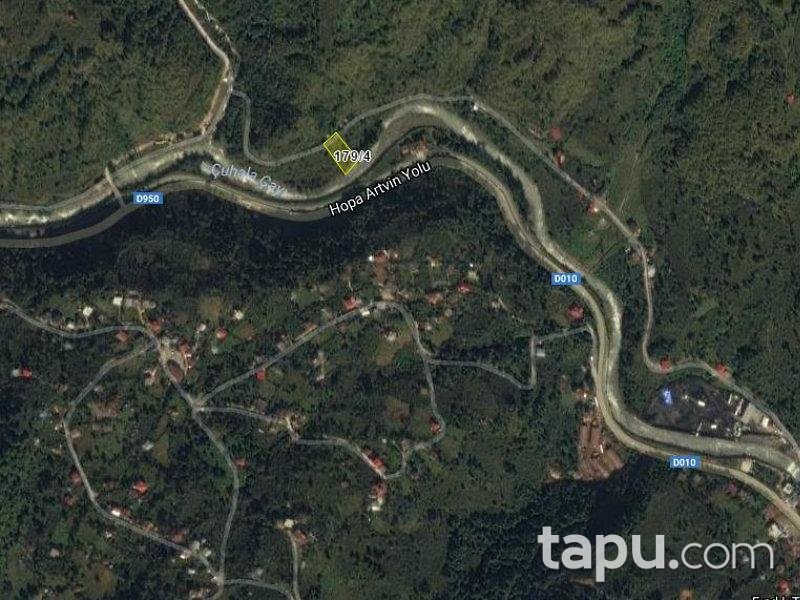 Artvin Borçka'da 4987 m2 3 adet Fındık Bahçesi