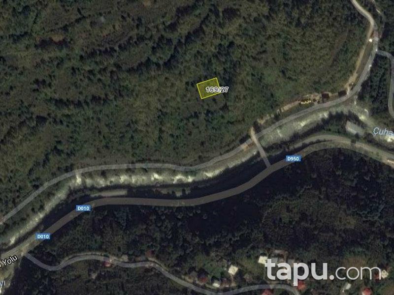 Artvin Borçka'da 4987 m2 3 adet Fındık Bahçesi