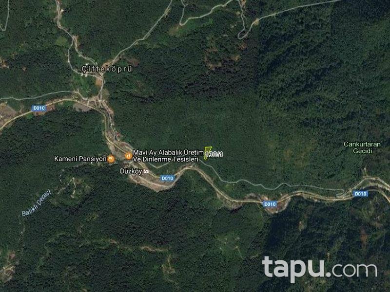 Artvin Borçka'da 4987 m2 3 adet Fındık Bahçesi