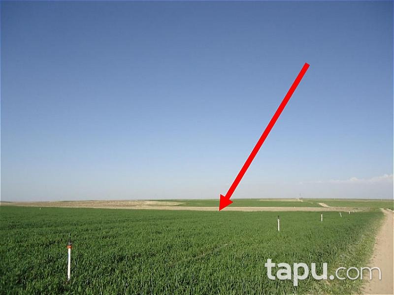 Aksaray Eskil'de 13.100 m2 Arsa