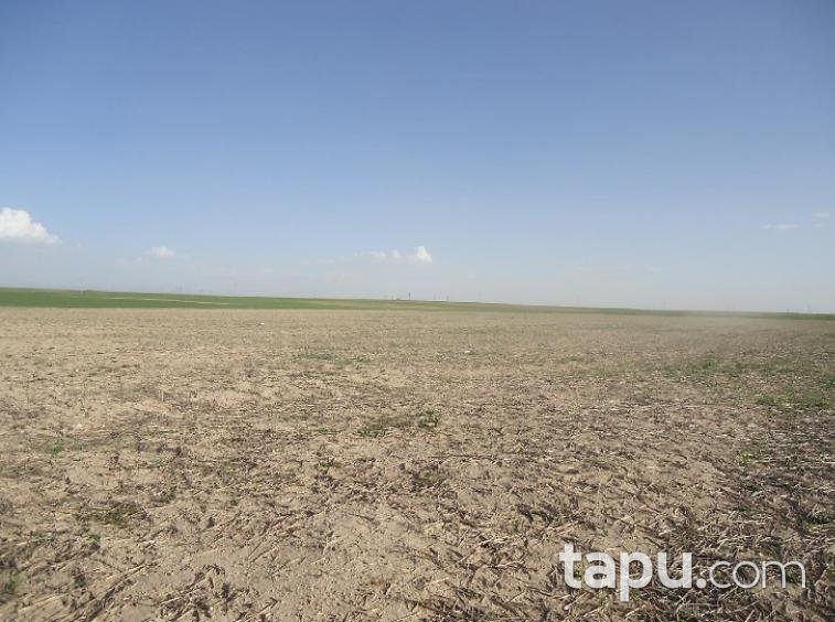 Aksaray Eskil'de 13.100 m2 Arsa