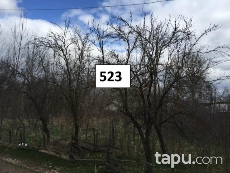 Kastamonu Daday Tüfekçiler Köyü'nde 37 m2 Hisseli Bahçe