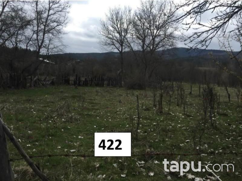 Kastamonu Daday Tüfekçiler Köyü'nde 20 m2 Hisseli Bahçe