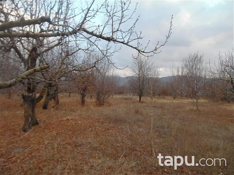 Isparta Taşköprü'de Bahçeli Kerpiç Ev