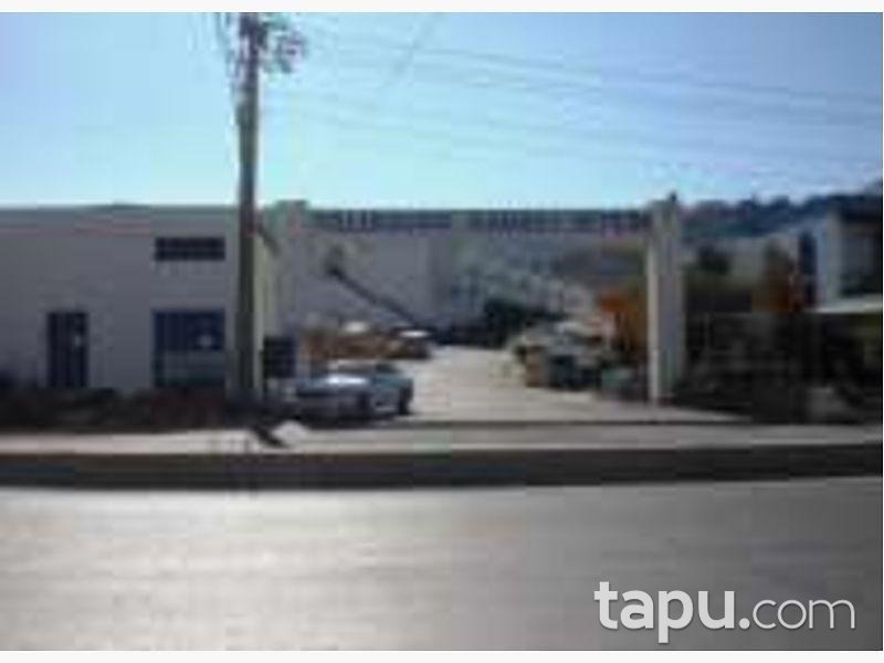 Muğla Bodrum'da Sanayi Sitesinde Dükkan