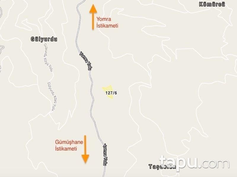 Trabzon Yomra İlçesi Taşdelen'de 7652m2 Fındık Bahçesi