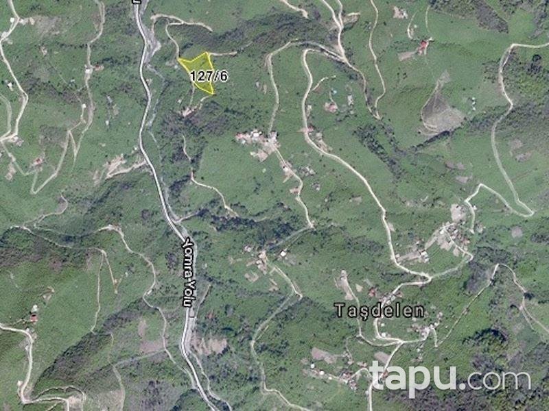 Trabzon Yomra İlçesi Taşdelen'de 7652m2 Fındık Bahçesi