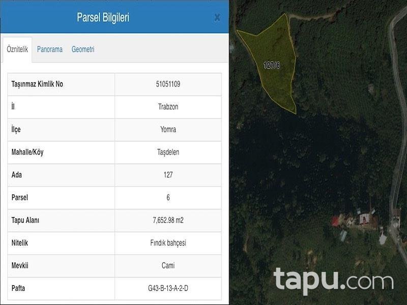 Trabzon Yomra İlçesi Taşdelen'de 7652m2 Fındık Bahçesi