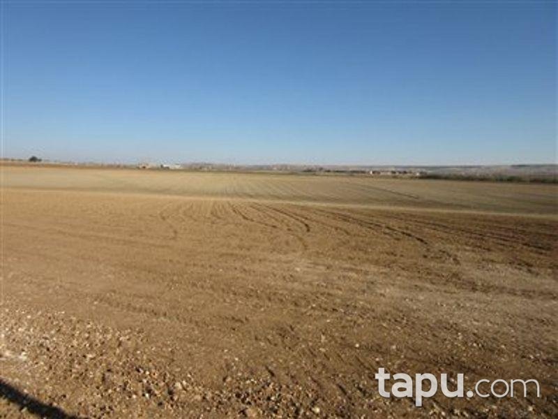 Şanlıurfa Karaköprü'de 156 Dönüm Tarla