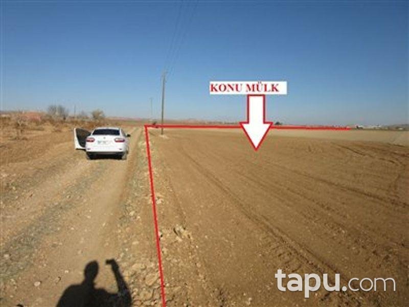 Şanlıurfa Karaköprü'de 156 Dönüm Tarla