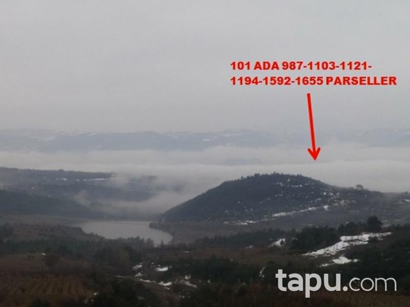 Sakarya Geyve Sekiharman'da 6964 m2 Tarla