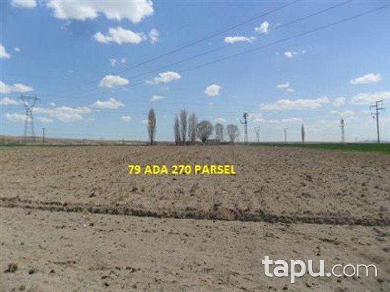 Nevşehir Derinkuyu Baş Mahallesi'nde 6073 m2 Tarla