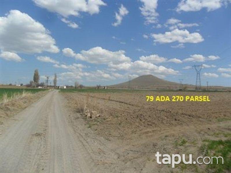 Nevşehir Derinkuyu Baş Mahallesi'nde 6073 m2 Tarla