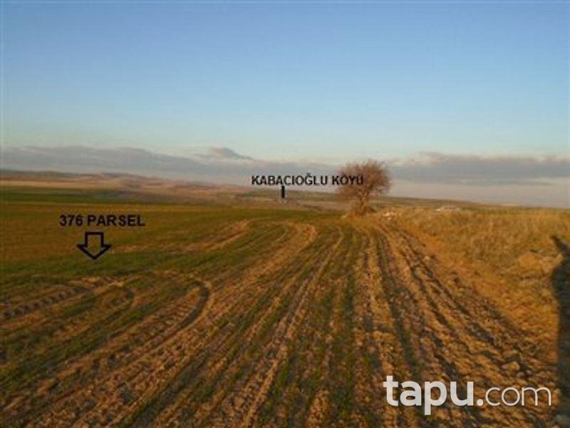 Yozgat Şefaatli Kabacıoğlu'nda 8100 m2 Tarla