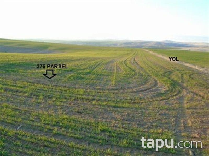 Yozgat Şefaatli Kabacıoğlu'nda 8100 m2 Tarla