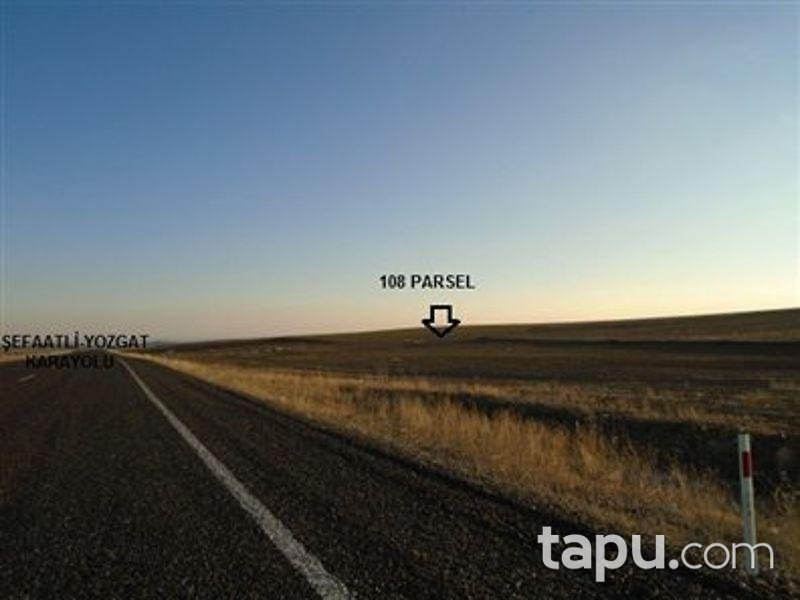 Yozgat Şefaatli Kabacıoğlu'nda 13200 m2 Tarla