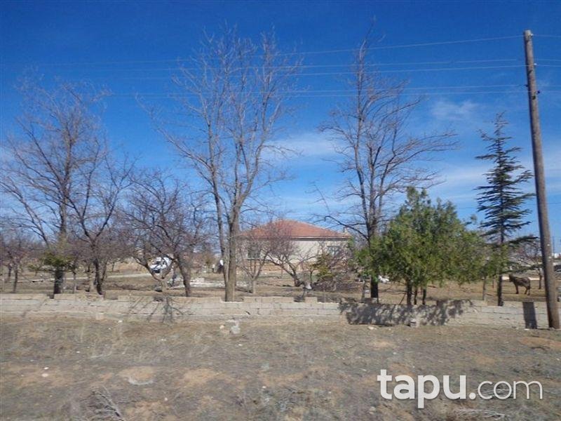 Konya Altınekin'de Köy evi ve Müştemilatı
