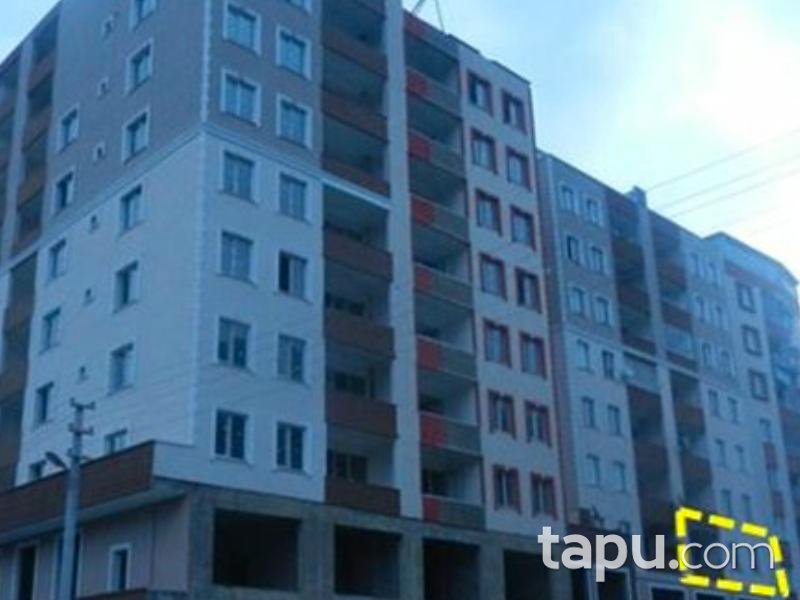 Samsun Tekkeköy'de 3+1 Daire