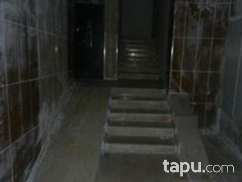 Samsun Tekkeköy'de 3+1 Daire