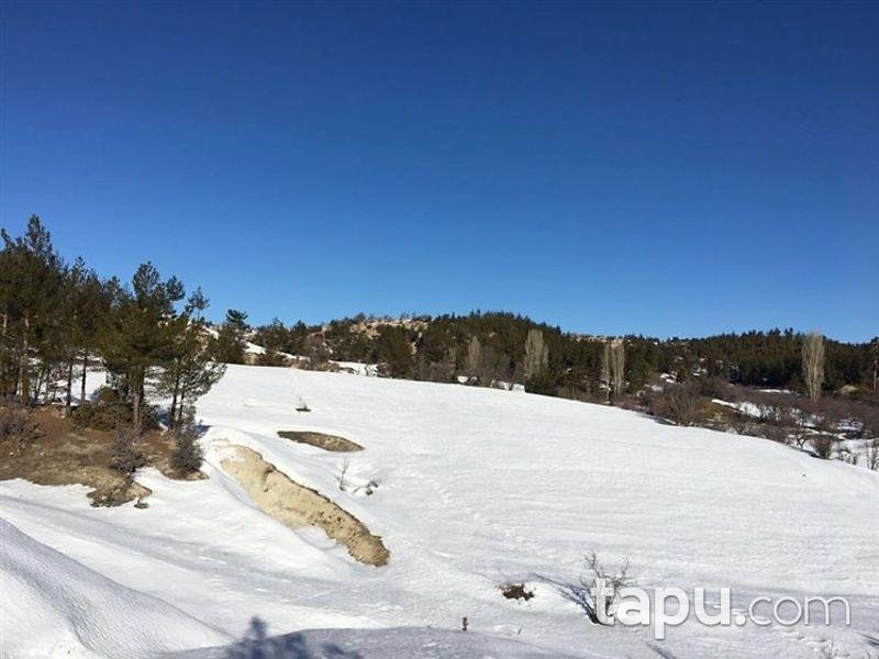 Mersin Gülnar Köseçobanlı'da 22916 m2 Tarla ve Elma Bahçesi