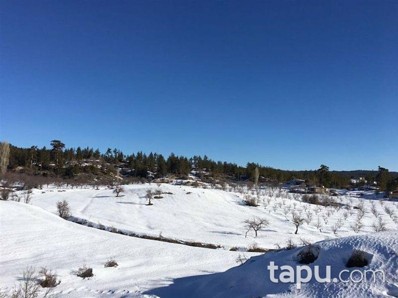 Mersin Gülnar Köseçobanlı'da 22916 m2 Tarla ve Elma Bahçesi