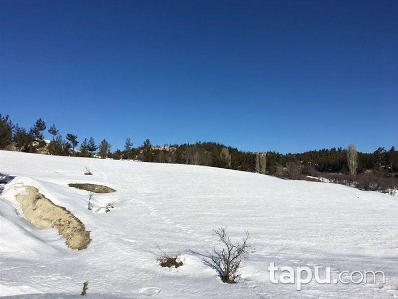 Mersin Gülnar Köseçobanlı'da 22916 m2 Tarla ve Elma Bahçesi