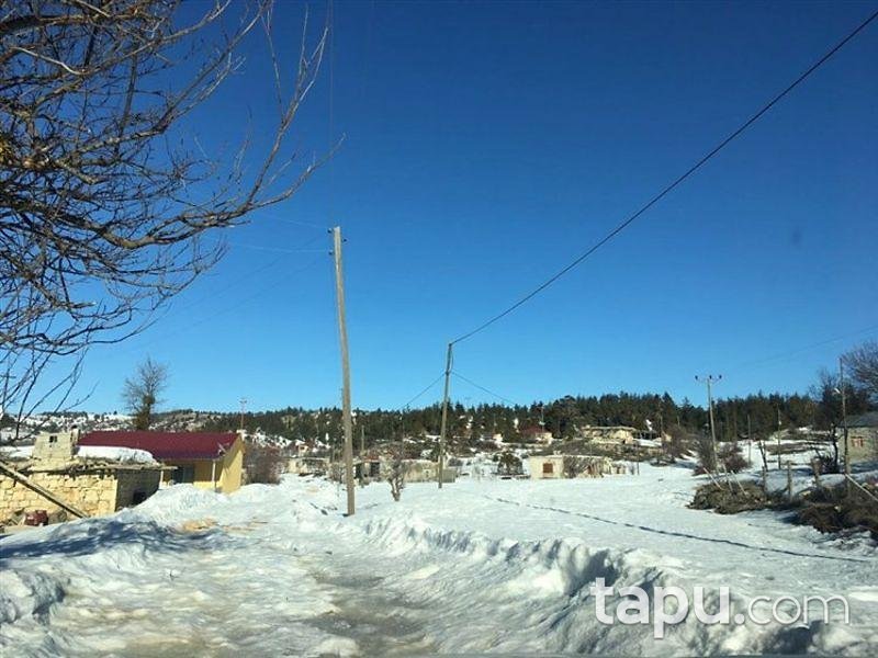 Mersin Gülnar Köseçobanlı'da 22916 m2 Tarla ve Elma Bahçesi