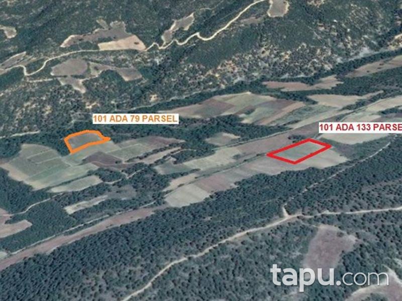 Sakarya Geyve'de 6.778 m2 Tarla