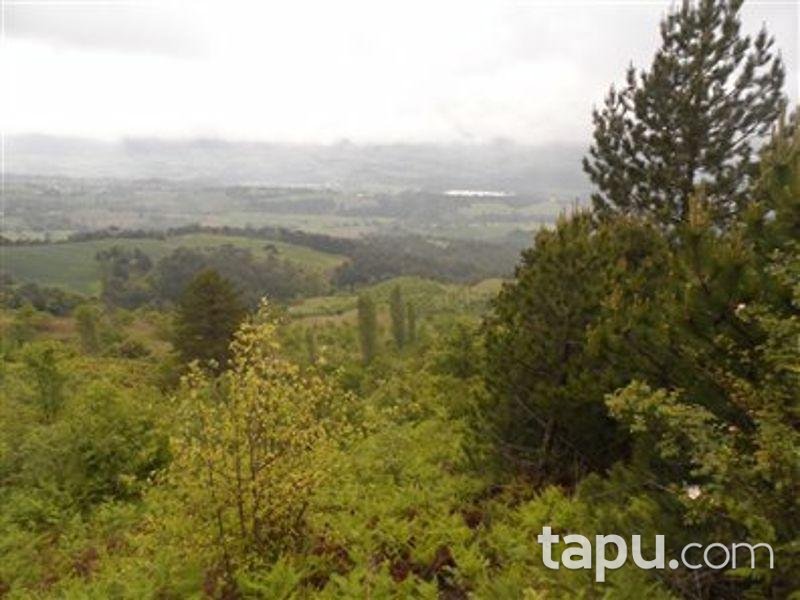 Sakarya Geyve'de 2290m2 Tarla