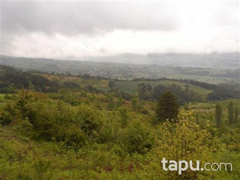 Sakarya Geyve'de 2290m2 Tarla