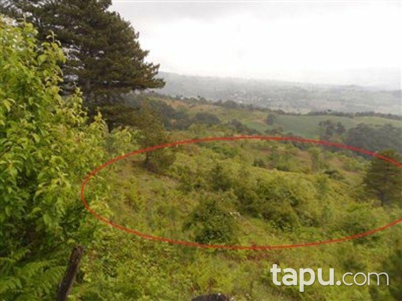 Sakarya Geyve'de 2290m2 Tarla