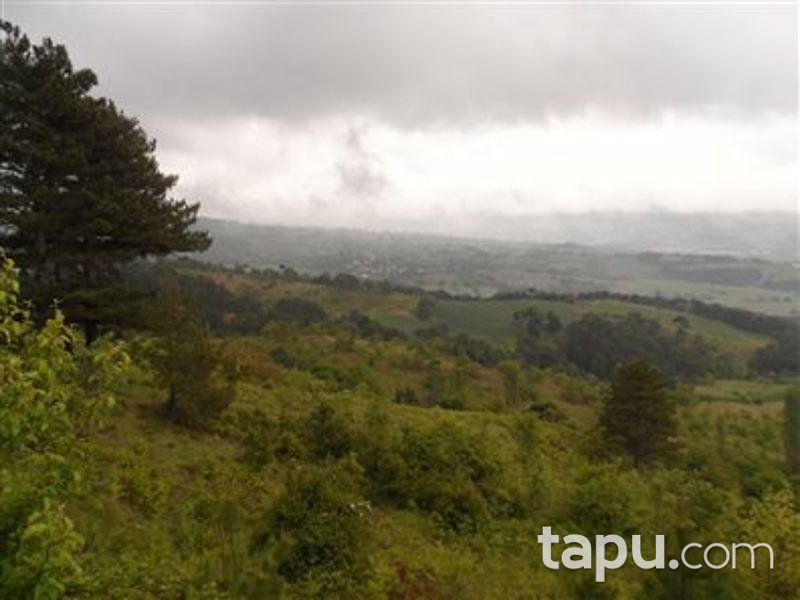 Sakarya Geyve'de 2290m2 Tarla