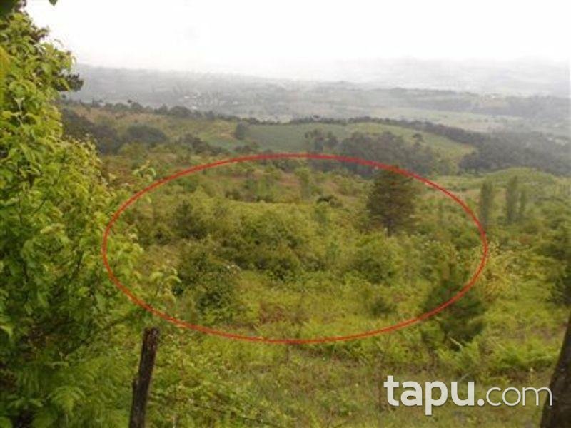 Sakarya Geyve'de 2290m2 Tarla