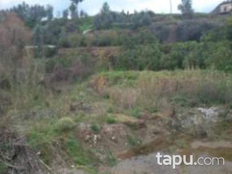 Mersin Anamur Gercebahşiş Köyünde Toplam 736 m2 Yüzölçümlü 2 Tarla