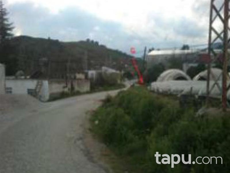 Mersin Anamur Gercebahşiş Köyünde Toplam 736 m2 Yüzölçümlü 2 Tarla