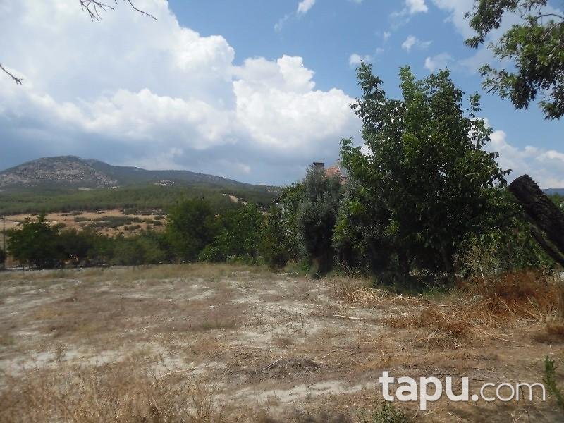 Burdur Bucak'ta 597 m2 İmarlı Arsa