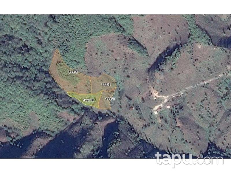 Giresun Espiye'de 3.271 m2 Fındık Bahçesi