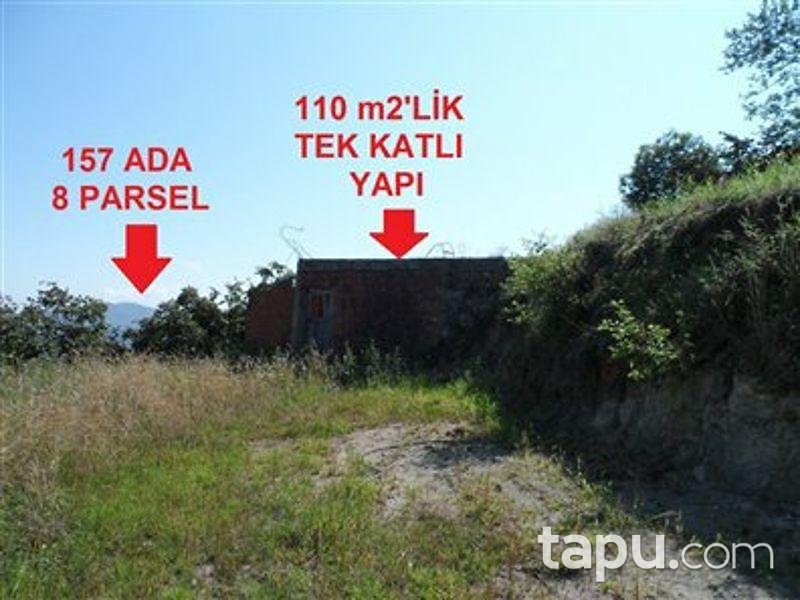 Ordu Ulubey'de 9383m2 Fındık Bahçesi