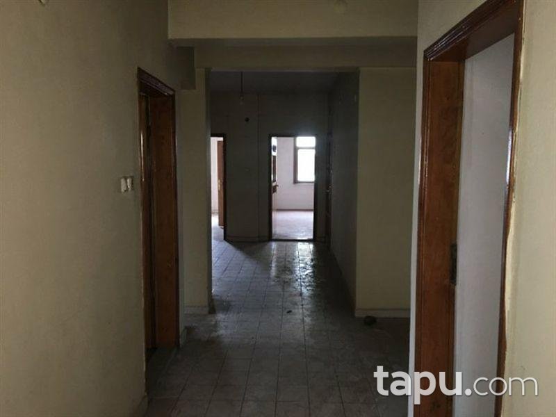 Ordu Fatsa'da 4+1 Daire